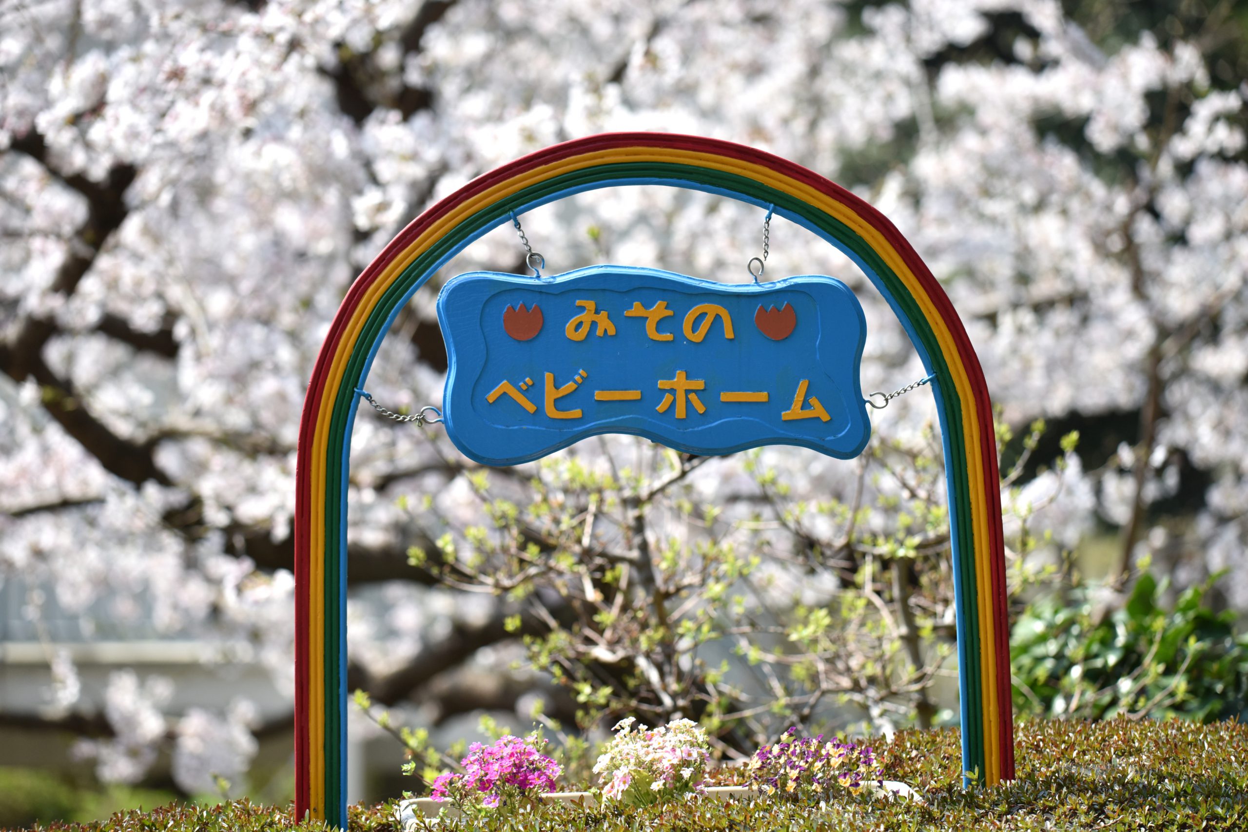 聖園ベビーホーム